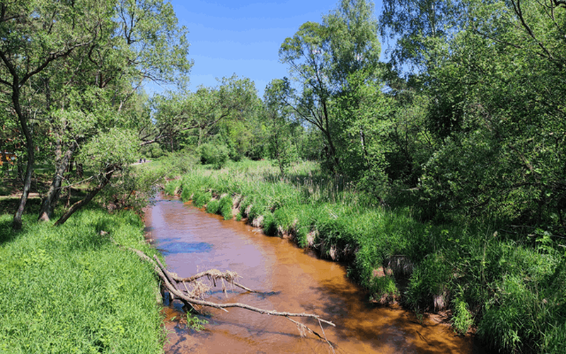 Rzeka Czarna